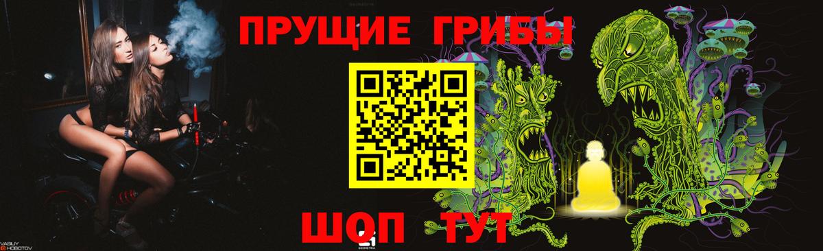 Псилоцибиновые грибы Psilocybe  Вход с VPN  Губаха 