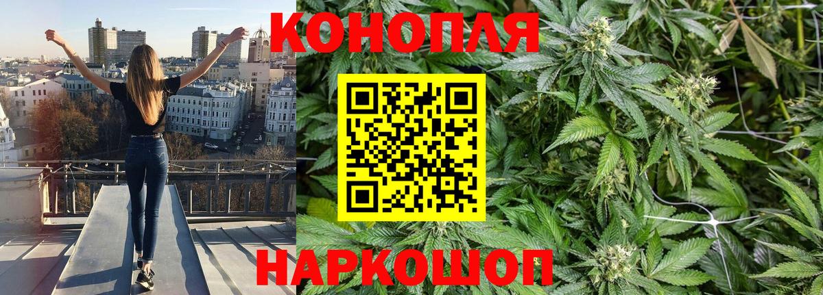 Конопля гибрид Губаха